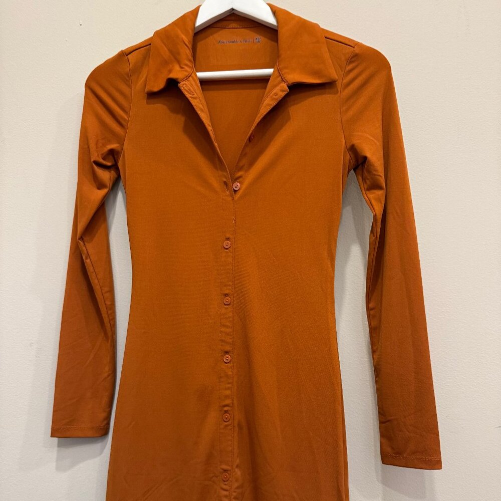 Abercrombie & Fitch Rust Button-Down Collared Mini Dress (XS Petite)